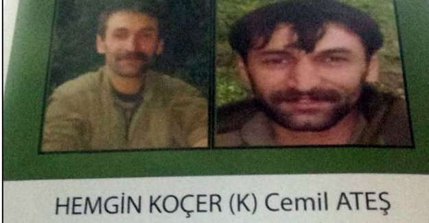 Bitlis Güroymak'ta başına 1 milyon ödül bırakılan PKK'lı ele geçirildi