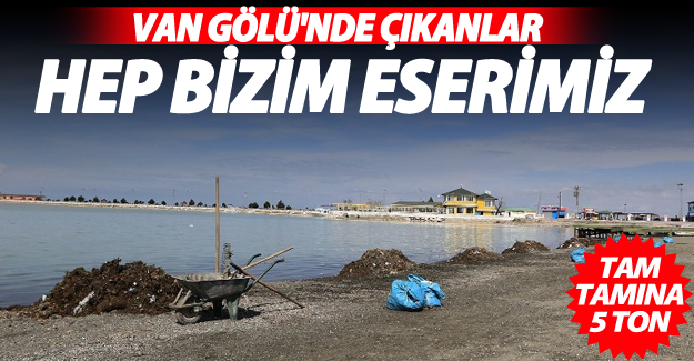 Van gölü çöplükten geçilmiyor!