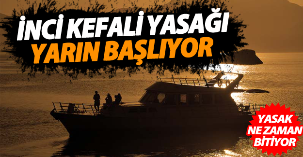 İnci Kefali Yasağı Yarın Başlıyor