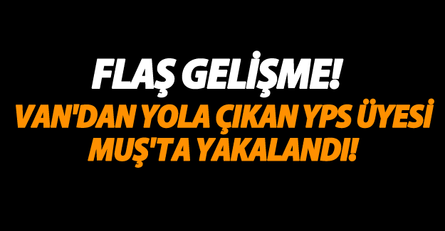 Van'dan Muş'a operasyon!