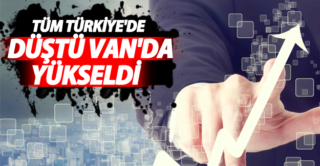 Türkiye'de istihdamın düşmediği tek il Van oldu!