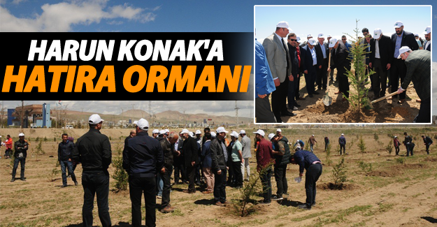 Van'da Harun Konak hatıra ormanı oluşturuldu