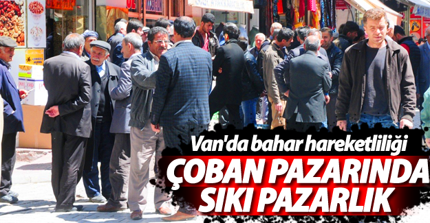 Van'da çoban pazarında sıkı pazarlık! - Van Haber