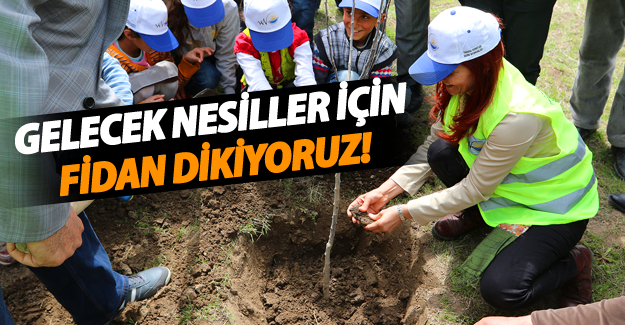 Büyükşehir Belediyesi, 2016 yılında 49 bin 500 meyve fidanı dikecek - Van Haber