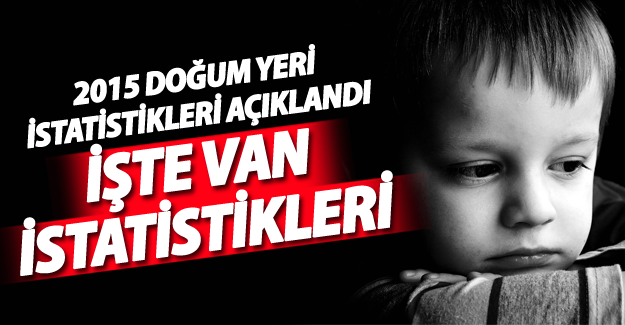 Van 2015 Doğum Yeri İstatistikleri açıklandı - Van Haber