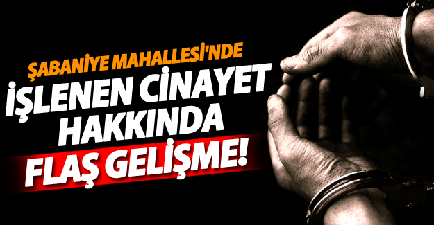 SON DAKİKA! Van'da işlenen cinayetle ilgili flaş gelişme! - Van Haber
