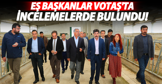 Eş Başkan Çoban ve Kaya, VOTAŞ'ta incelemelerde bulundu - Van Haber