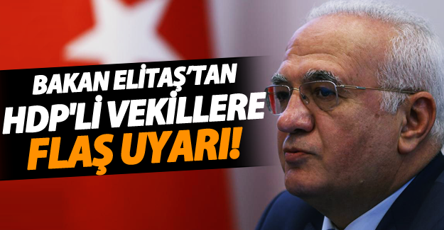 Ekonomi Bakanı Mustafa Elitaş'tan HDP'li vekillere flaş uyarı - Van Haber