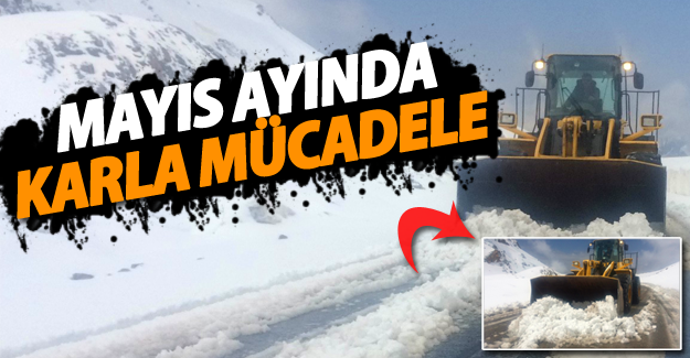 Mayıs ayında karla mücadele - Van Haber