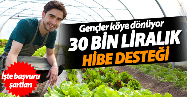 30 bin liralık hibe desteği şartları! Gençler köye dönüyor