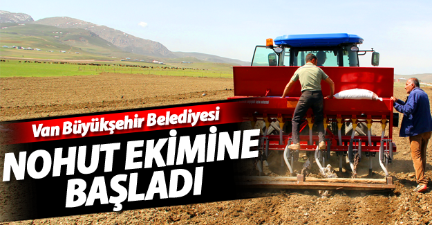 Van Büyükşehir Belediyesi nohut ekimine başladı - Van Haber