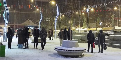 Van'da Kardan Kapanan 451 Yerleşim Yeri Yolunun 148'i Açıldı