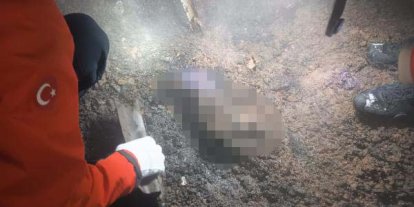 Van'daki Ev Yangınında 6 Aylık Şerzan Bebek, Beşiğinde Yanarak Can Verdi