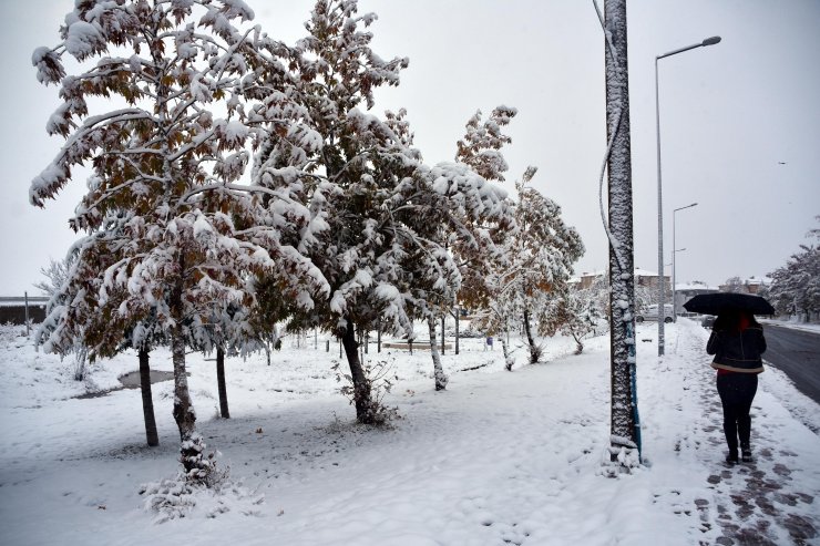 Bitlis'in Yüksek Kesimlerinde Kar Kalınlığı 30 Santimetre Oldu
