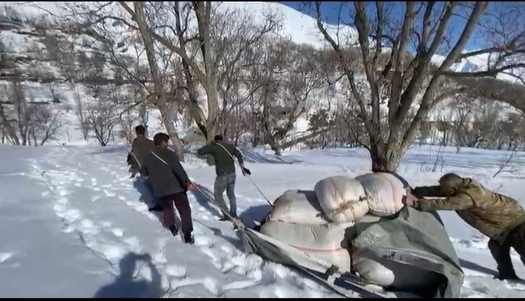 Kar Altında Kalan Samanları Çıkartıp, Hayvanları İçin Taşıdılar